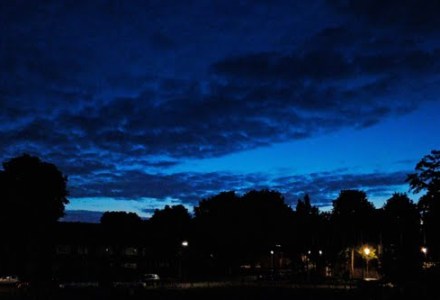 Blog op www.peterdherde.com