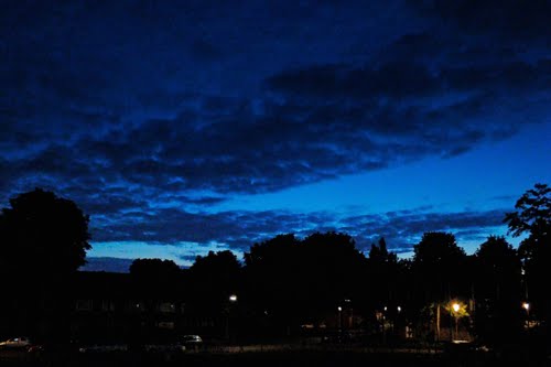 Blog op www.peterdherde.com