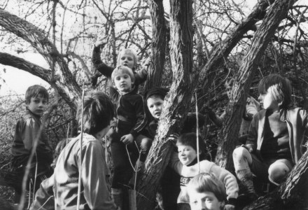 Blog op www.peterdherde.com