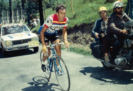 Blog op www.peterdherde.com