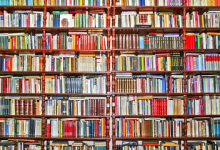 Blog op www.peterdherde.com