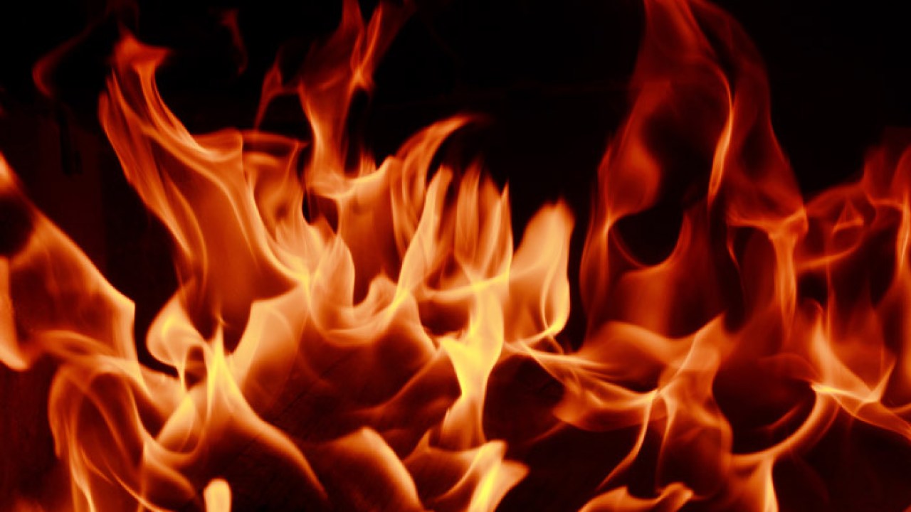 Blog op www.peterdherde.com